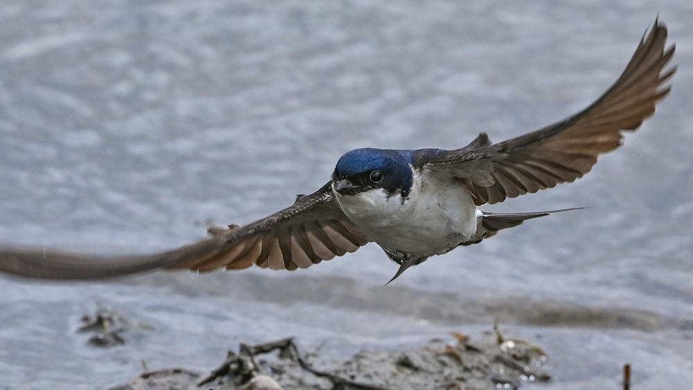 Sie wohnen am letzten Kühlturm des AKW Biblis und müssen jetzt ausziehen. Doch Wohin? (Symbolbild).