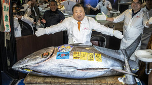 Knapp drei Millionen Euro: Rekordpreis für Thunfisch in Tokio
