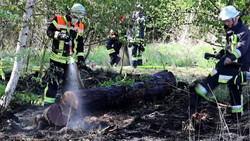 Erneuter Waldbrand in der Nacht: 100 Einsatzkräfte kämpfen gegen das Feuer