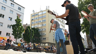 Platanen auf dem Merianplatz in Frankfurt vergiftet