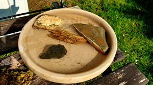 Bienentränke selber bauen: Wasser für Honigschnuten