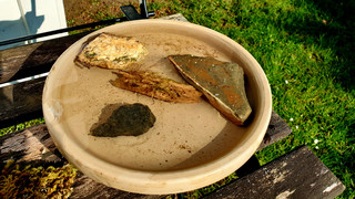 Bienentränke selber bauen: Wasser für Honigschnuten