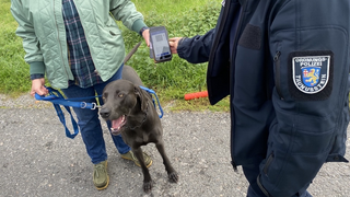 Ab sofort gibt's die digitale Hundemarke in Taunusstein