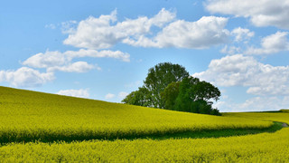 Das Wochenendwetter für Hessen - wechselhaft und warm