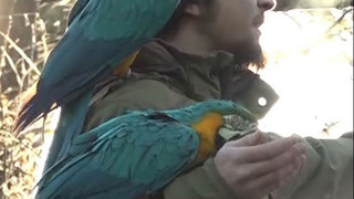 Fleißige Inventur: Tiere im Zoo Hannover werden gezählt