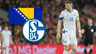 Nach Bosniens WM-Einzug: Sorgen um Edin Dzeko
