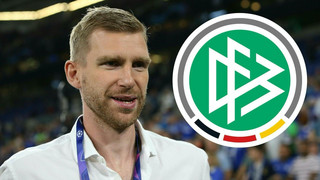 Per Mertesacker: Die perfekte Ergänzung beim DFB?