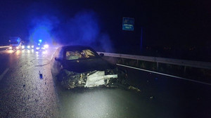 Unfall auf A7 bei Göttingen: BMW kracht frontal in Wildschwein