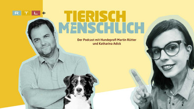 Podcast Tierisch menschlich - Hundeprofi Martin Rütter