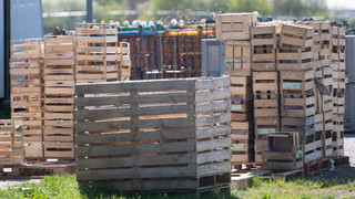 Gammelgurken-Skandal: Hinz sieht kein Versäumnis beim Land