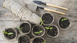 Saatgutbörse Hessenpark