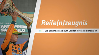 Norris oben auf, Verstappen enttäuscht - Das F1-Reifen(n)zeugnis zum GP von Brasilien