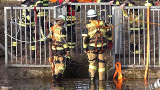 Hammoor: Vermisste Frau tot in Schacht an Bachlauf gefunden