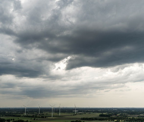 Unwetter zerstören Raps und Felder mit Millionenschäden
