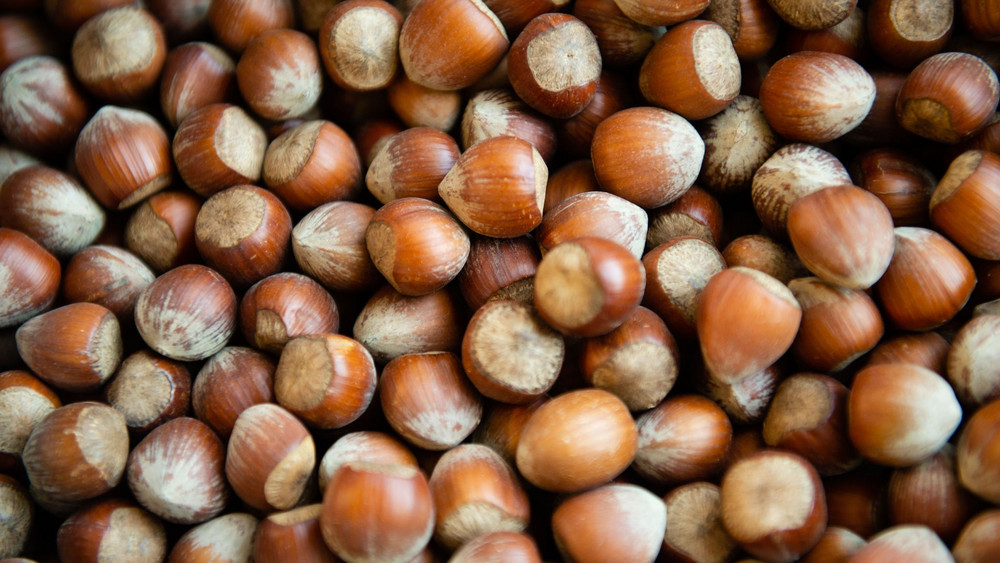 Haselnüsse