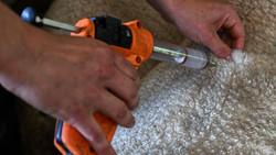 Blauzungenkrankheit entdeckt: Diese Tiere sind betroffen