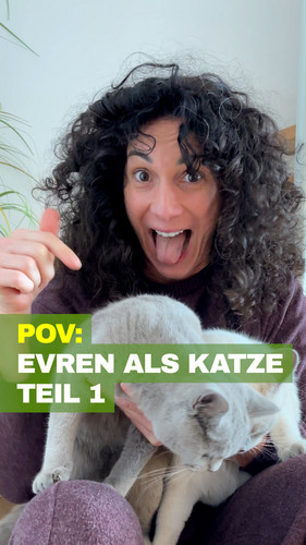 Evren Katze 1