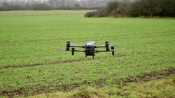 Drohnen scannen Tierbestand: Drückjagd im Gießener Stadtwald