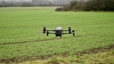 Drohnen scannen Tierbestand: Drückjagd im Gießener Stadtwald