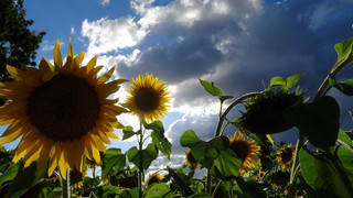 Das Wetter in Hessen am Wochenende: wird wärmer