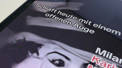 Polizei prüft Internettrend: Horror-Katze auch in Hessen?