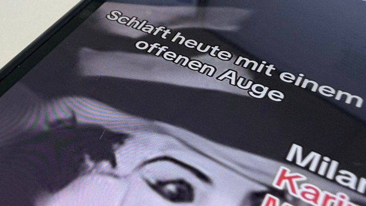 Polizei prüft Internettrend: Horror-Katze auch in Hessen?