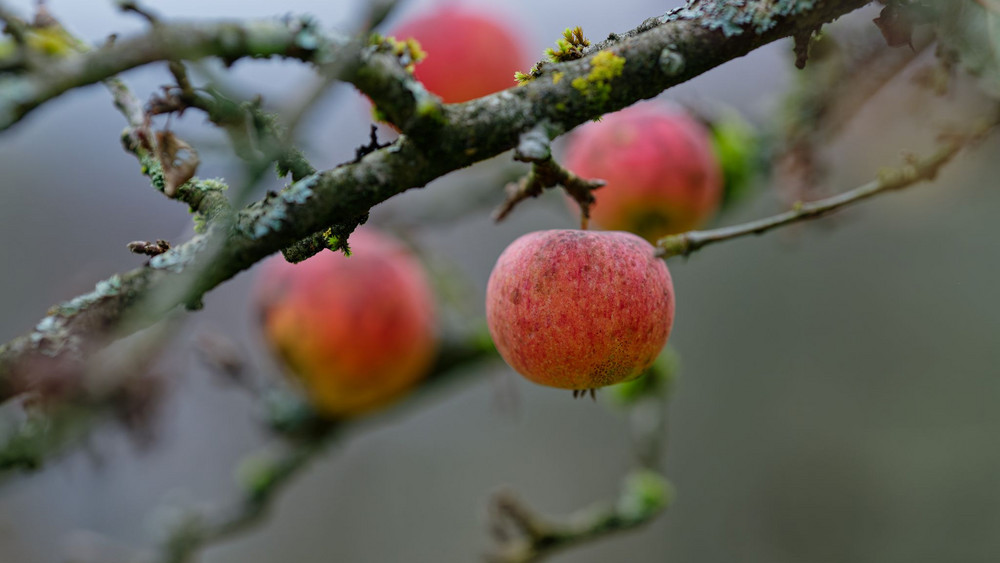 Wetter in Baden-Württemberg