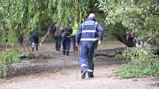 Baby in Mannheim ausgesetzt? Weitere Suchaktion ohne Ergebnis beendet