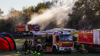 Waldbrand bei Hattersheim gelöscht