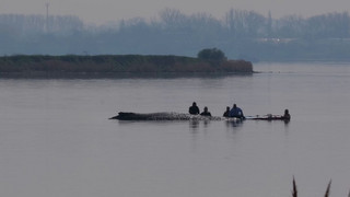 Rettung startet: Hoffnung für gestrandeten Wal