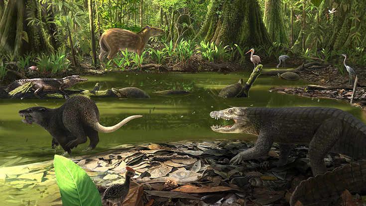 Jubiläum für die Grube Messel: Hier lebt die Urzeit fort