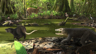 Jubiläum für die Grube Messel: Hier lebt die Urzeit fort