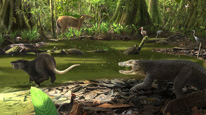 Jubiläum für die Grube Messel: Hier lebt die Urzeit fort