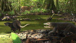 Jubiläum für die Grube Messel: Hier lebt die Urzeit fort