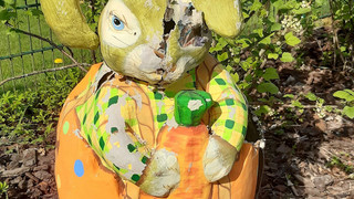 Waschbärfamilie baut sich Nest in Osterhasen