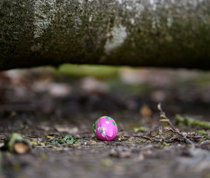 Drei Menschen sterben bei Ostereiersuche im Norden