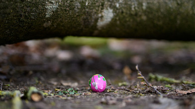 Drei Menschen sterben bei Ostereiersuche im Norden