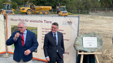 Grundsteinlegung neues Nashorn-Gelände in Opel-Zoo Kronberg