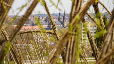Hitze-Gefahr in Fulda: So schützt sich die Stadt
