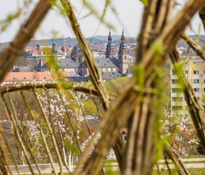 Hitze-Gefahr in Fulda: So schützt sich die Stadt