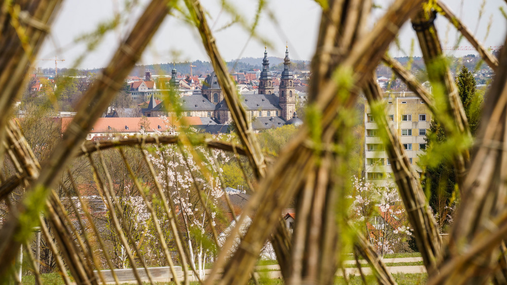 Was in Fulda getan werden kann, um mit den Folgen des Klimawandels klar zu kommen - darum geht es bei einem speziellen Spaziergang am heutigen Montagnachmittag (17.8.)