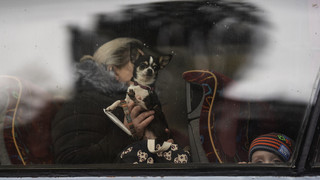 UNHCR-Bericht zu Ukraine-Krieg - 14 Millionen Menschen auf der Flucht