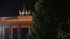 Nach Verzögerung: Weihnachtsbaum am Brandenburger Tor aufgestellt