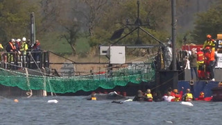 Wal schwimmt in Transportschiff – Reise steht bevor