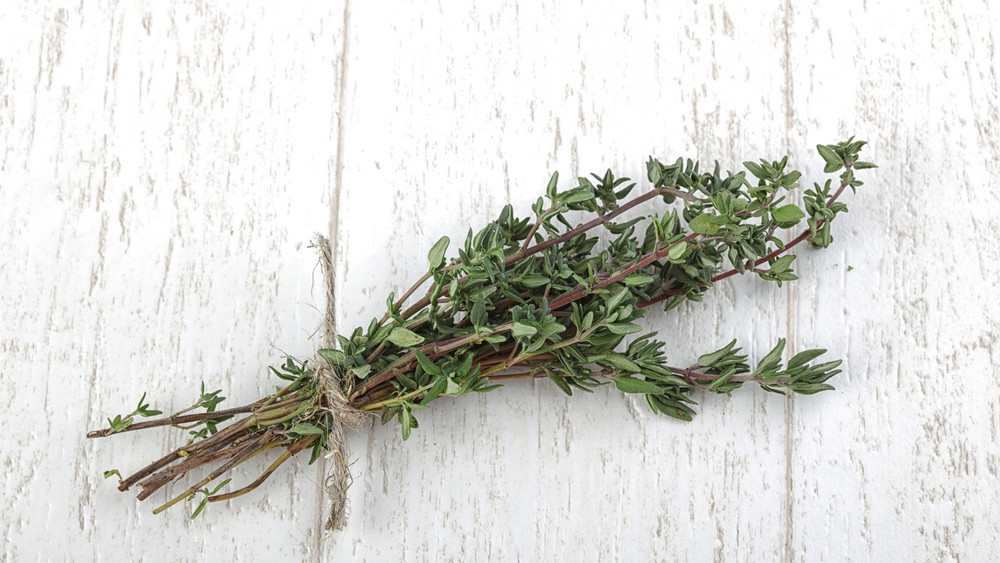 Ein Büschel Thymian liegt auf weißem Hintergrund