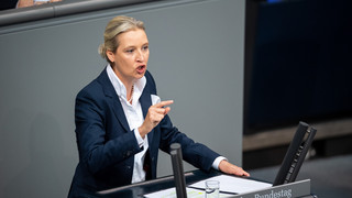Plagiatsvorwürfe gegen AfD-Chefin Weidel: Uni Bayreuth prüft jetzt