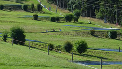 Edersee: Sommerrodelbahn