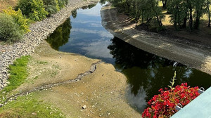 Rekord-Niedrigwasser der Donau legt in Ungarn Wrack aus dem Zweiten Weltkrieg frei