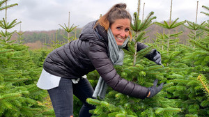 Weihnachtsbaum länger haltbar machen: Tipps von Experten