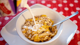 Preise für Molkereiprodukte sinken